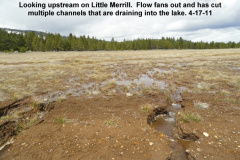 Looking-upstream-on-Little-Merrill-Creek-4-17-11