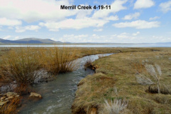 Merrill-Creek-4-19-11