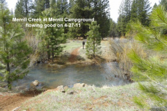 Merrill-Creek-at-Merrill-Campground-4-27-11