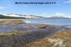 Merrill-Creek-enters-Eagle-Lake-4-1-11