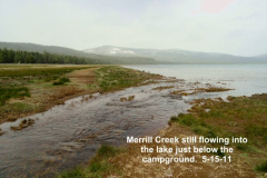 Merrill-Creek-remains-flowing-but-the-fish-have-lost-their-desire-5-15-11