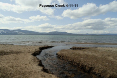 Papoose-Creek-4-11-11