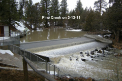 Pine-Creek-at-the-Egg-Collection-Facility-3-14-11