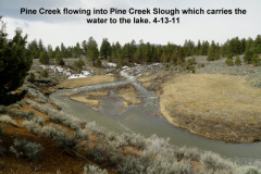 Pine-Creek-before-the-weir-was-to-be-installed-4-13-11