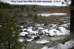 Pine-Creek-flow-fills-the-side-channels-of-the-creek-3-14-11