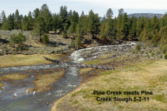 Pine-Creek-meets-the-Slough-5-2-11