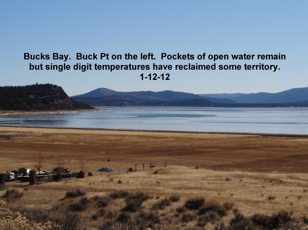 Ice-sheets-have-reclaimed-Bucks-Bay-1-12-12