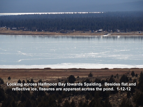 Looking-across-a-sea-of-ice-in-Halfmoon-Bay-1-12-12