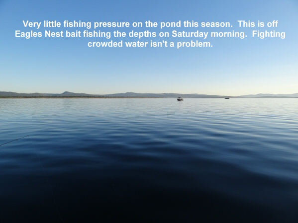 No-fishing-pressure-on-the-pond-makes-for-quiet-mornings-on-the-water