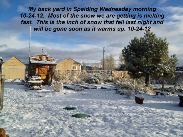 One-inch-of-snow-Wed-morning-will-be-gone-shortly-10-24-12