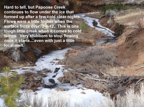 Papoose-Creek-resists-cold-temps-2-6-12