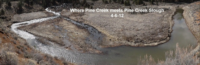 Pine-Creek-meets-Pine-Creek-Slough-4-6-12