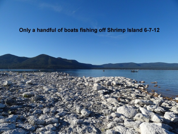 Shrimp-Island-6-7-12