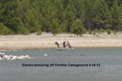 Electro-shocking-near-Christie-Campground-4-18-12