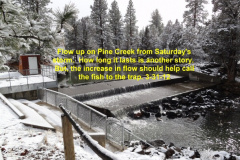 Flow-up-on-Pine-Creek-3-31-12