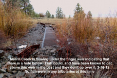 Merrill-Creek-flowing-below-the-finger-weir-might-not-be-a-good-sign-3-16-12