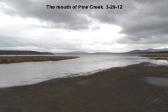 Mouth-of-Pine-Creek-3-29-12
