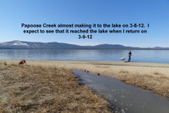 Papoose-Creek-nears-the-lake-3-8-12