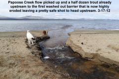 Papoose-Creek-picks-up-flow-3-17-12