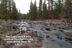 Pine-Creek-about-6-miles-upstream-from-Spalding-3-24-12