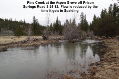 Pine-Creek-at-the-Aspen-Grove-off-Prison-Springs-Road-3-25-12