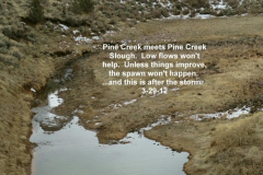 Pine-Creek-meets-Pine-Creek-Slough-3-29-12