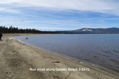 Run-amok-along-Gallatin-Beach-2-23-12