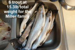 6-trout-for-the-Miller-family