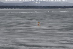 I_m-not-walking-out-to-the-buoy-today-1-25-13