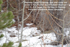 Papoose-Creek-on-its-way-3-2-13