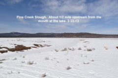 Pine-Creek-Slough-2-22-13