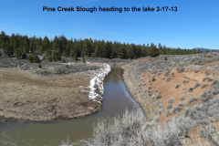Pine-Creek-Slough-3-17-13
