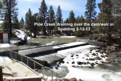 Pine-Creek-flowing-over-the-weir-3-12-13