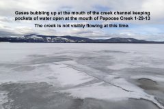 Pockets-of-open-water-at-the-mouth-of-Papoose-Creek-1-29-13