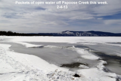 Pockets-of-open-water-off-Papoose-Creek-2-4-13