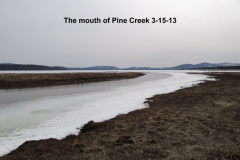 The-mouth-of-Pine-Creek-3-15-13