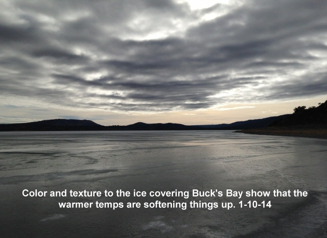 Color-and-texture-to-the-ice-covering-Buck_s-Bay-1-10-14