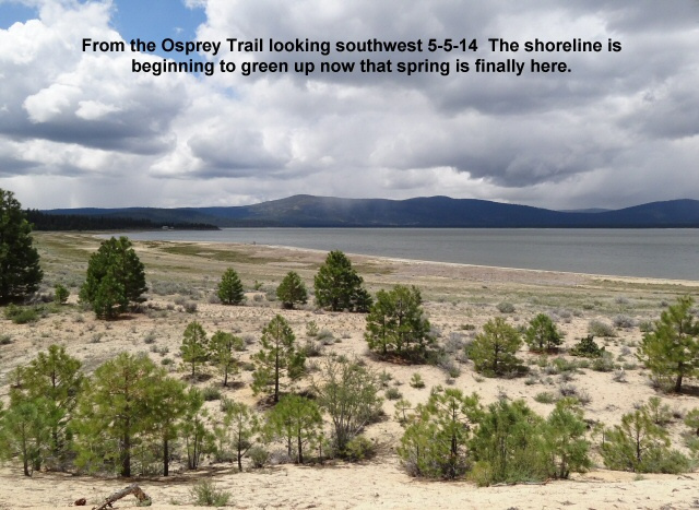 From-the-Osprey-Trail-looking-southwest-5-5-14
