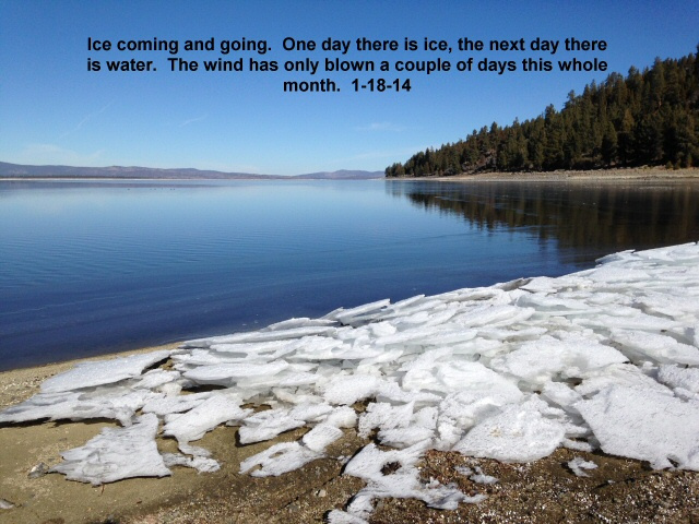 Ice-coming-and-going-1-18-14