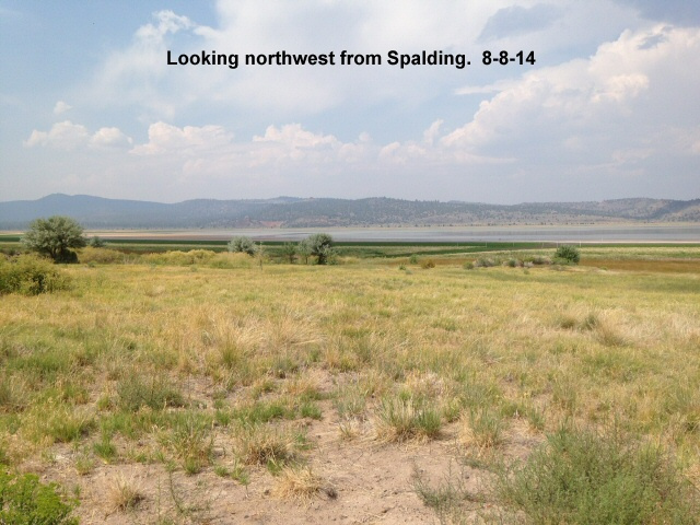 Looking-northwest-from-Spalding-8-8-14