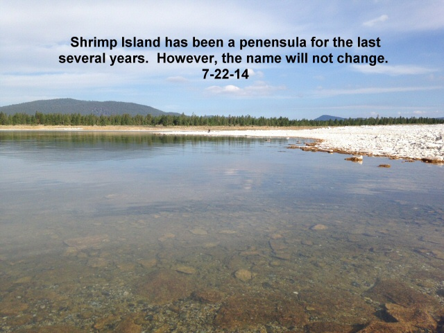 Shrimp-Island-7-22-14