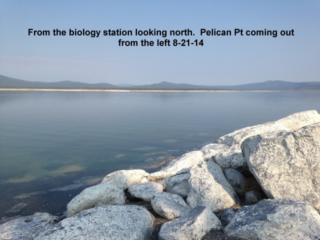 from-the-biology-station-looking-north-towards-Pelican-Pt-8-21-14