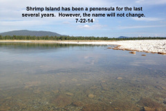 Shrimp-Island-7-22-14