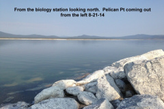 from-the-biology-station-looking-north-towards-Pelican-Pt-8-21-14