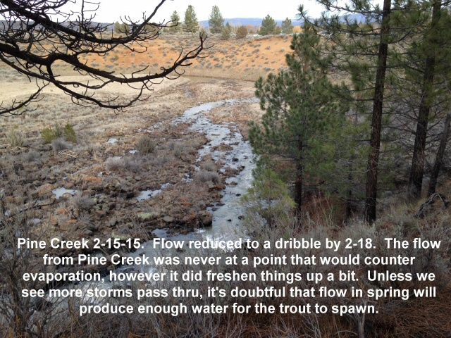 Pine-Creek-2-15-15