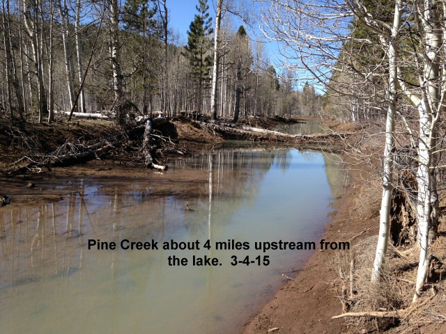 Pine-Creek-about-4-miles-upstream-from-the-lake