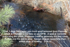 Papoose-Creek-2-15-15