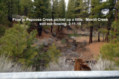 Papoose-Creek-continues-as-does-Pine-Creek-2-11-15
