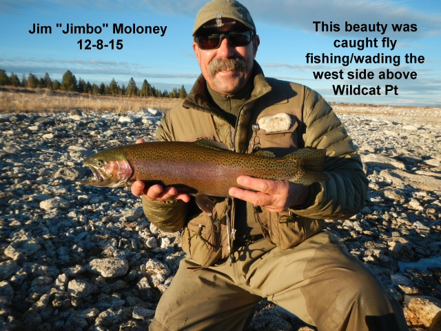 Jim-Jimbo-Moloney-12-8-15