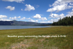 Green-surrounding-the-lake-5-15-16